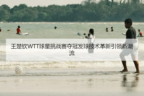 王楚钦WTT球星挑战赛夺冠发球技术革新引领新潮流